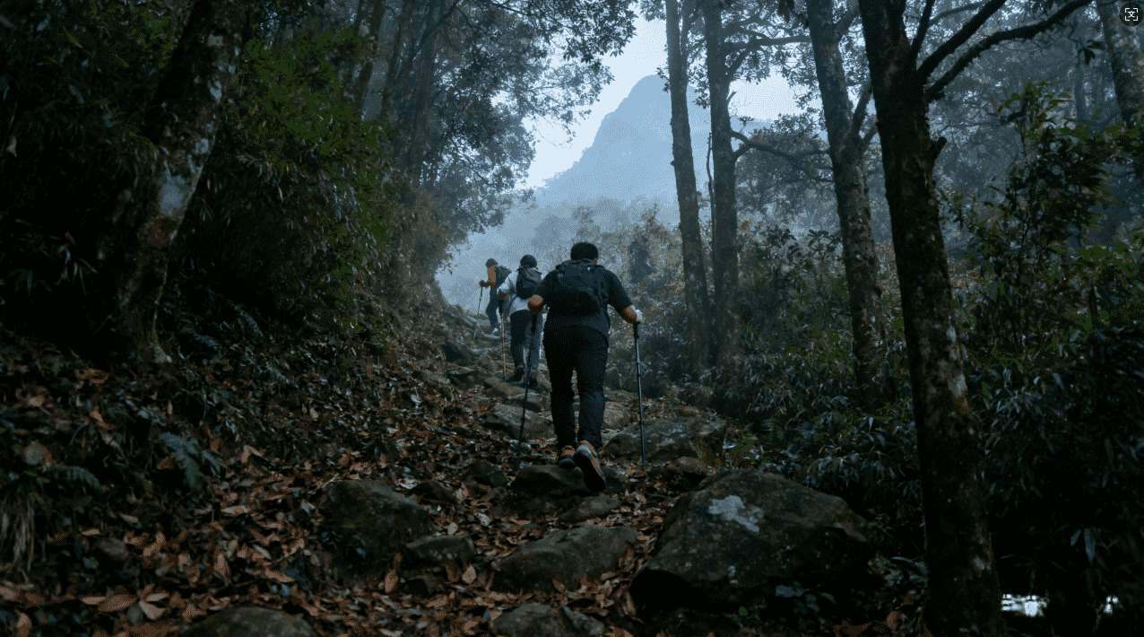 雷霆加速器在下载过程中遇到问题怎么办